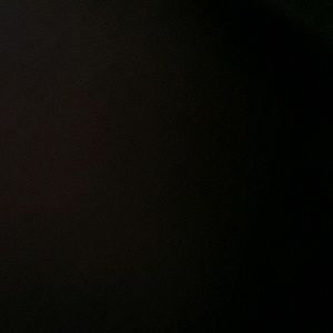 Meet your Posher, Adriana